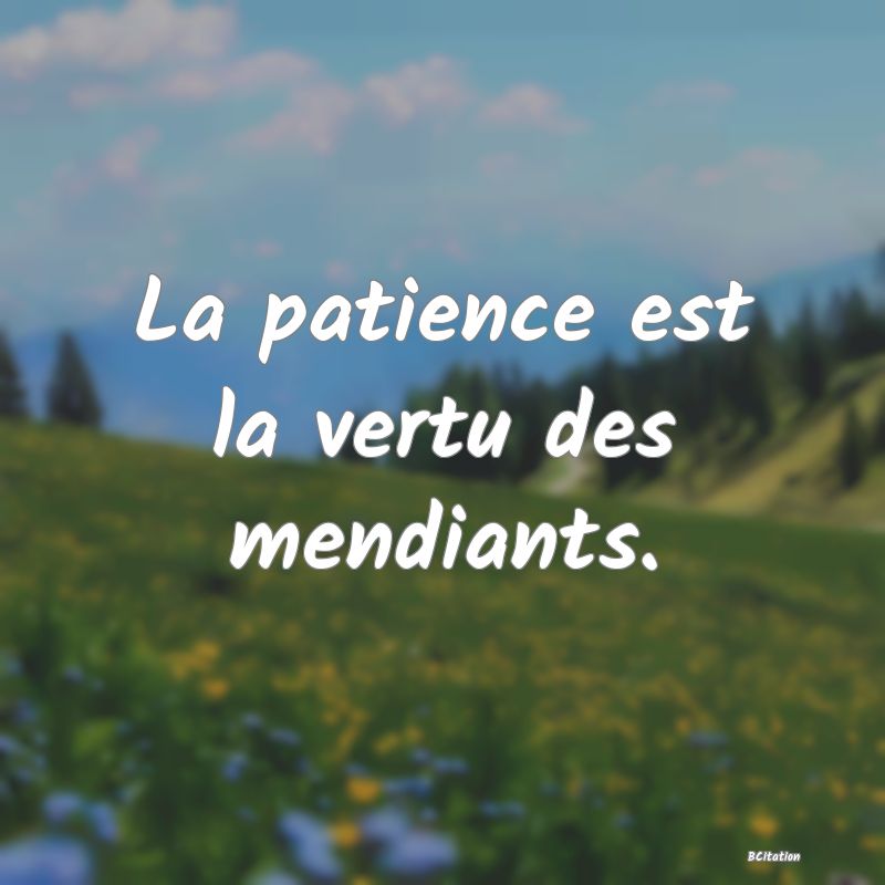 image de citation: La patience est la vertu des mendiants.