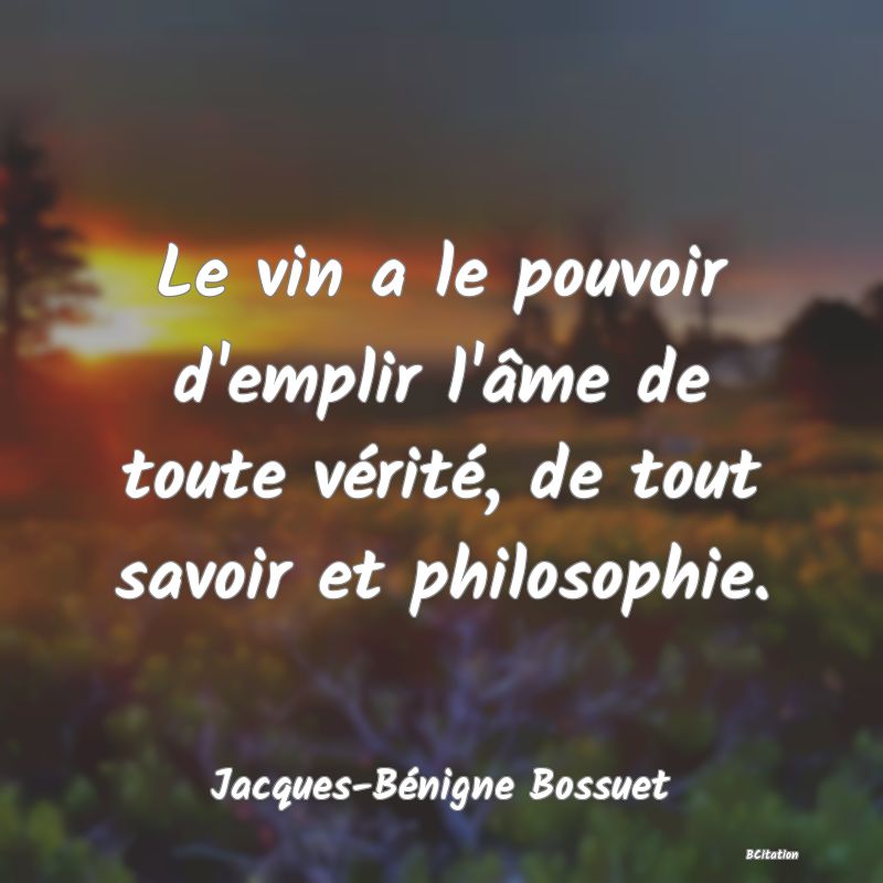 image de citation: Le vin a le pouvoir d'emplir l'âme de toute vérité, de tout savoir et philosophie.