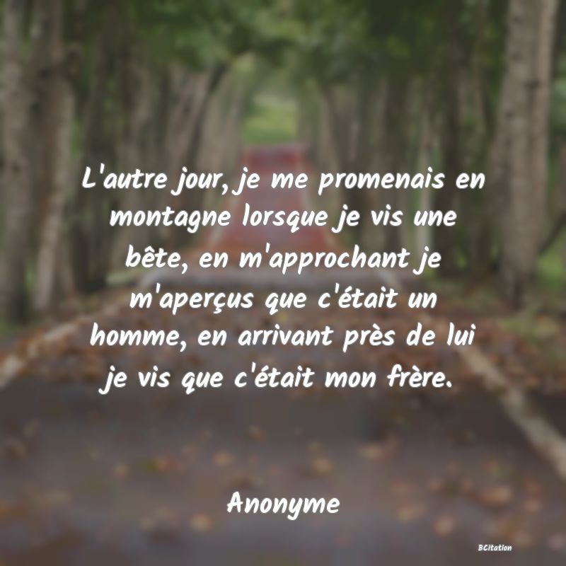 image de citation: L'autre jour, je me promenais en montagne lorsque je vis une bête, en m'approchant je m'aperçus que c'était un homme, en arrivant près de lui je vis que c'était mon frère.