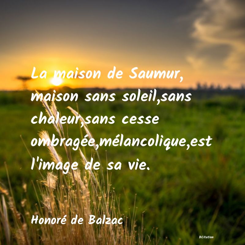 image de citation: La maison de Saumur, maison sans soleil,sans chaleur,sans cesse ombragée,mélancolique,est l'image de sa vie.