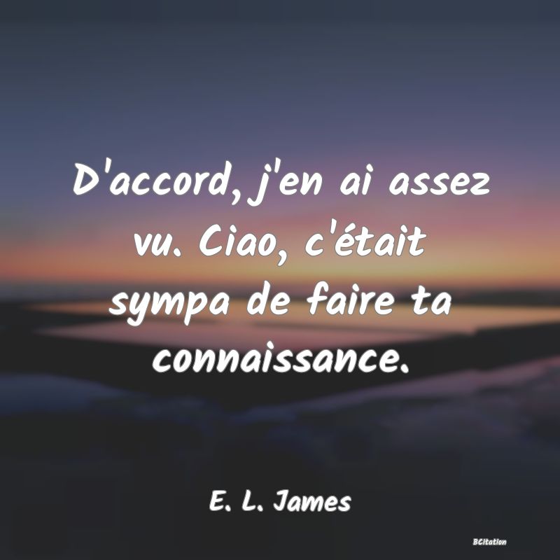 image de citation: D'accord, j'en ai assez vu. Ciao, c'était sympa de faire ta connaissance.