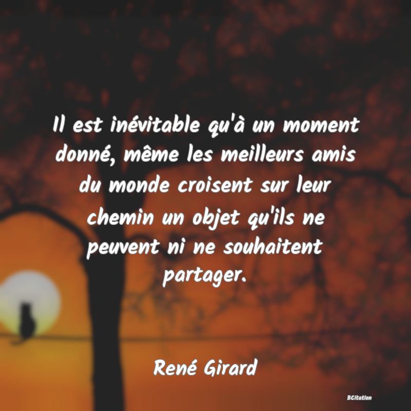 image de citation: Il est inévitable qu'à un moment donné, même les meilleurs amis du monde croisent sur leur chemin un objet qu'ils ne peuvent ni ne souhaitent partager.