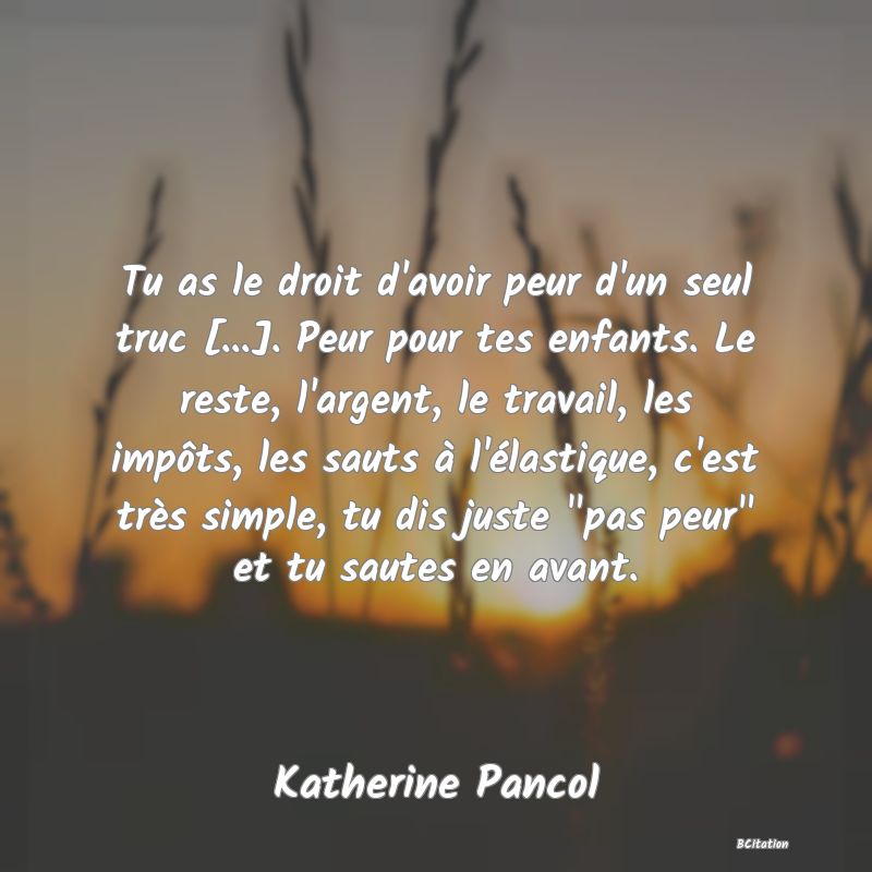 image de citation: Tu as le droit d'avoir peur d'un seul truc [...]. Peur pour tes enfants. Le reste, l'argent, le travail, les impôts, les sauts à l'élastique, c'est très simple, tu dis juste  pas peur  et tu sautes en avant.