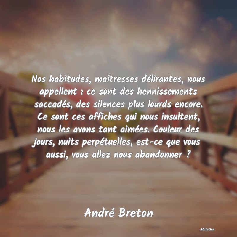 image de citation: Nos habitudes, maîtresses délirantes, nous appellent : ce sont des hennissements saccadés, des silences plus lourds encore. Ce sont ces affiches qui nous insultent, nous les avons tant aimées. Couleur des jours, nuits perpétuelles, est-ce que vous aussi, vous allez nous abandonner ?