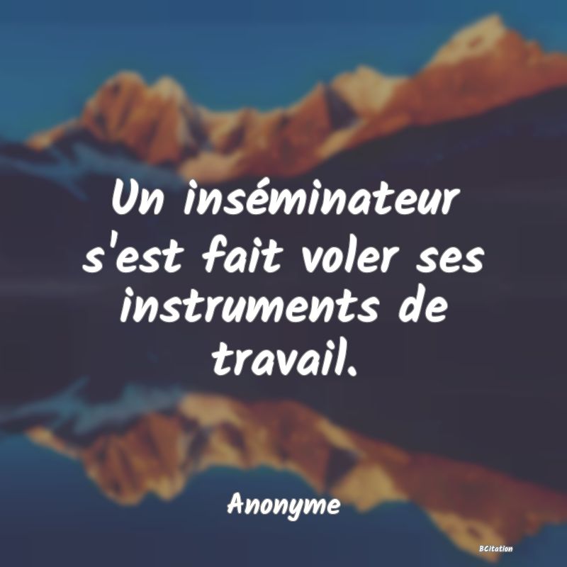 image de citation: Un inséminateur s'est fait voler ses instruments de travail.