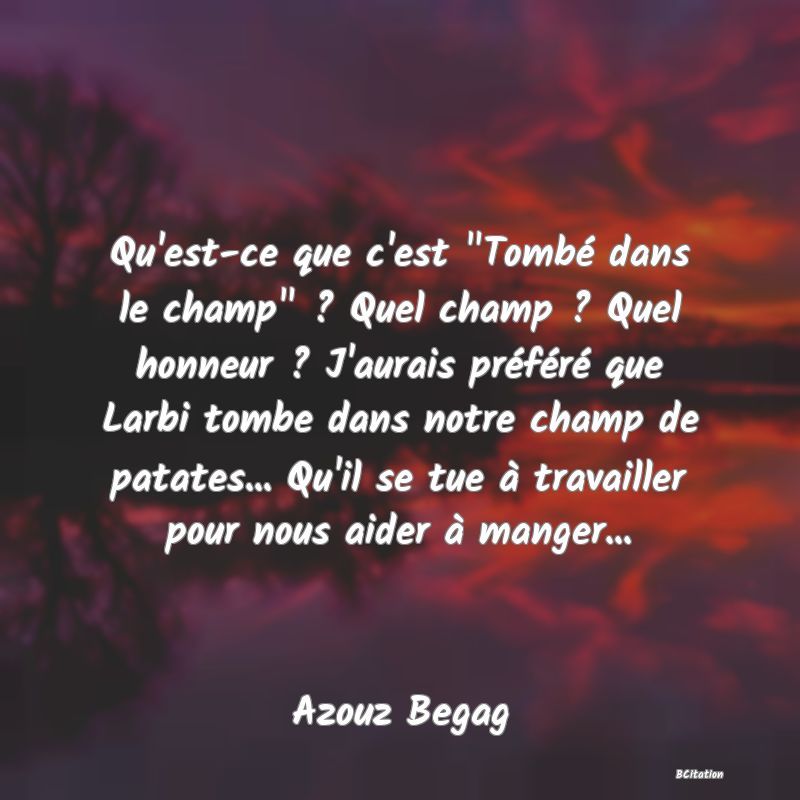 Belle Citation - Qu'est-ce que c'est 