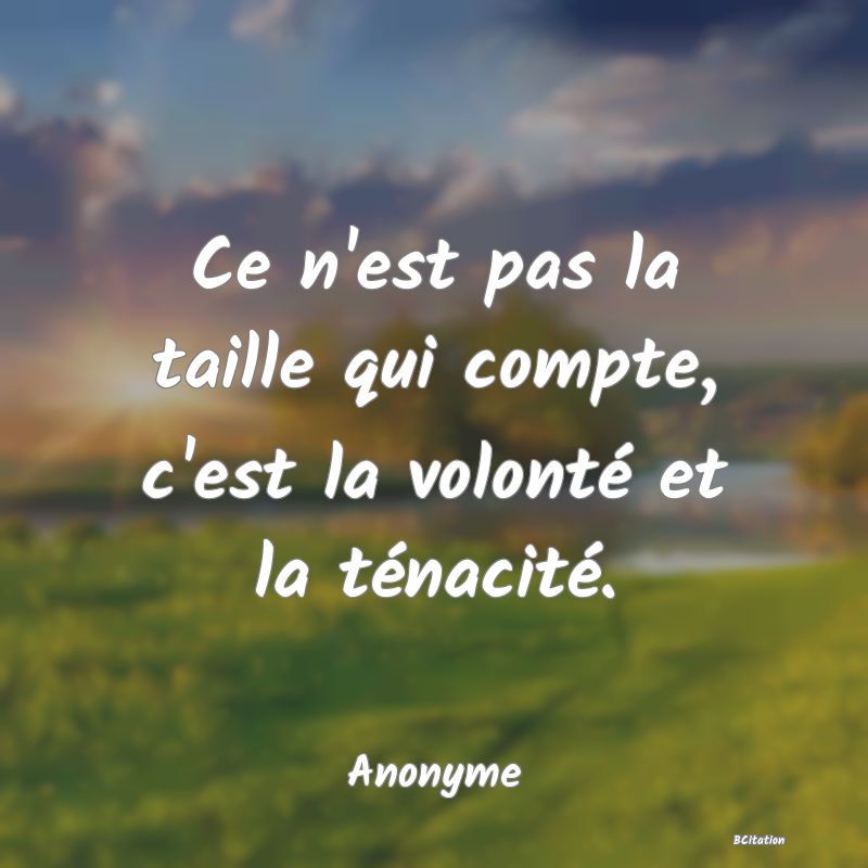 image de citation: Ce n'est pas la taille qui compte, c'est la volonté et la ténacité.