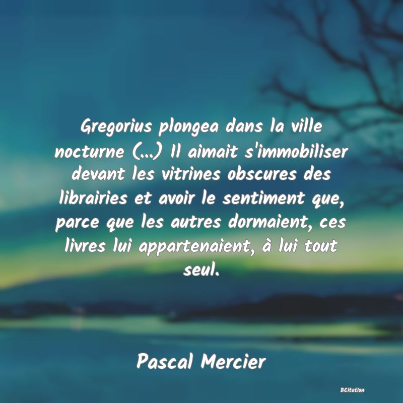 image de citation: Gregorius plongea dans la ville nocturne (...) Il aimait s'immobiliser devant les vitrines obscures des librairies et avoir le sentiment que, parce que les autres dormaient, ces livres lui appartenaient, à lui tout seul.