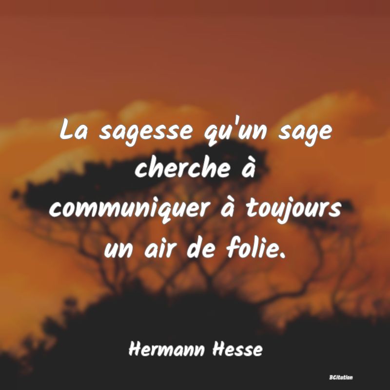 image de citation: La sagesse qu'un sage cherche à communiquer à toujours un air de folie.