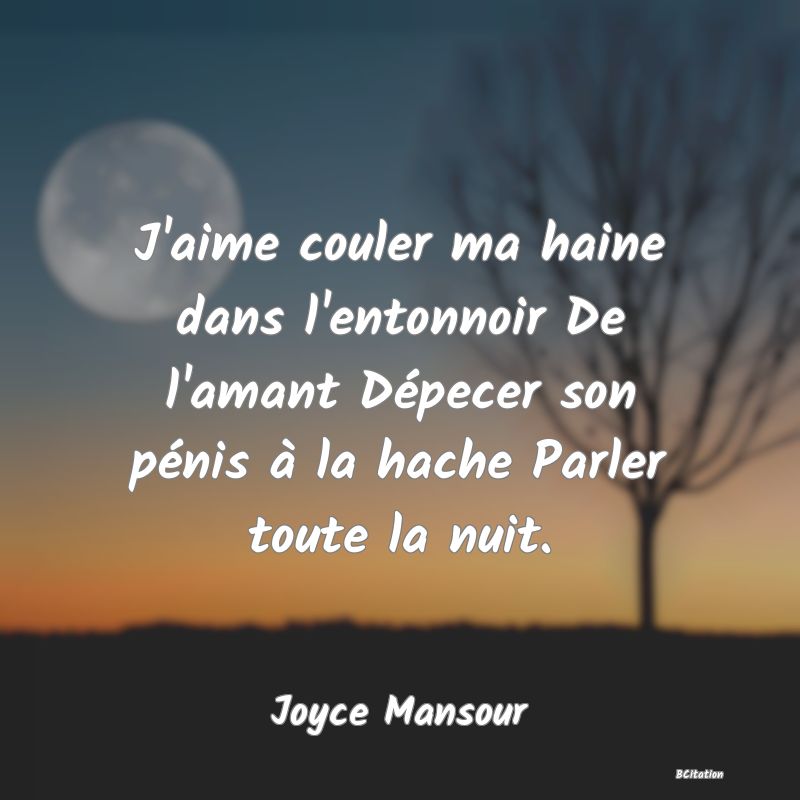 image de citation: J'aime couler ma haine dans l'entonnoir De l'amant Dépecer son pénis à la hache Parler toute la nuit.