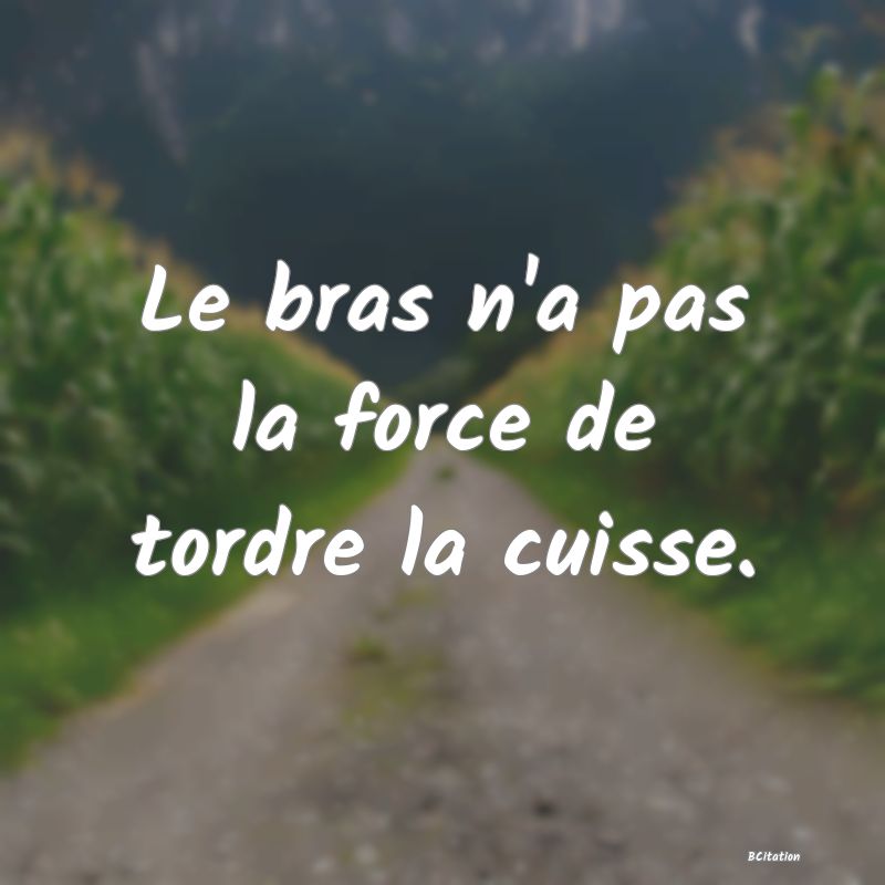 Belle Citation - Le bras n'a pas la force de tordre la cuisse. - 