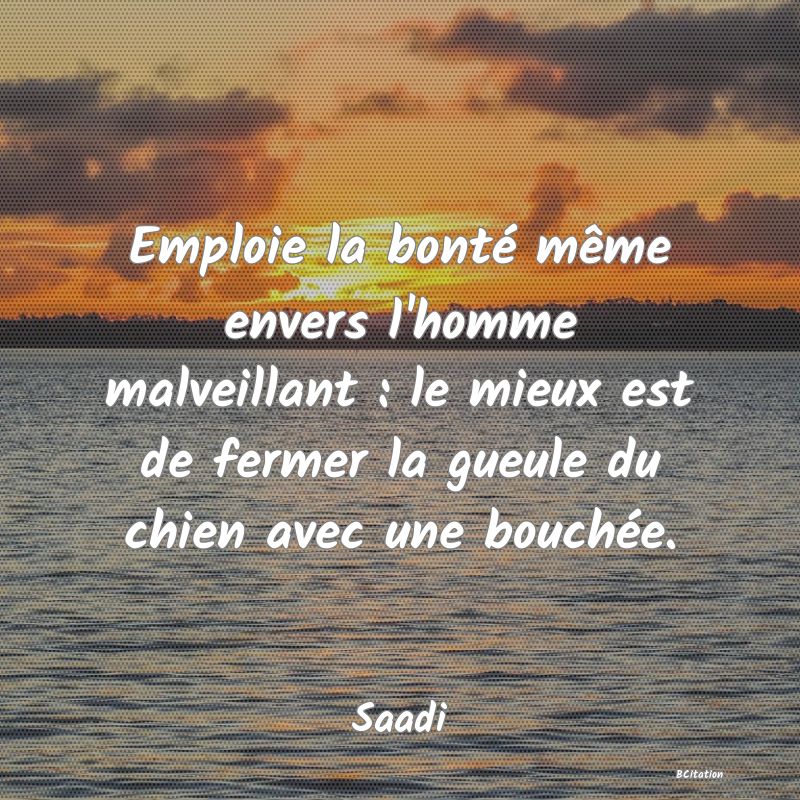 Belle Citation - Emploie la bonté même envers l'homme malveillant : le mieux est de fermer la gueule du chien avec une bouchée. - Saadi
