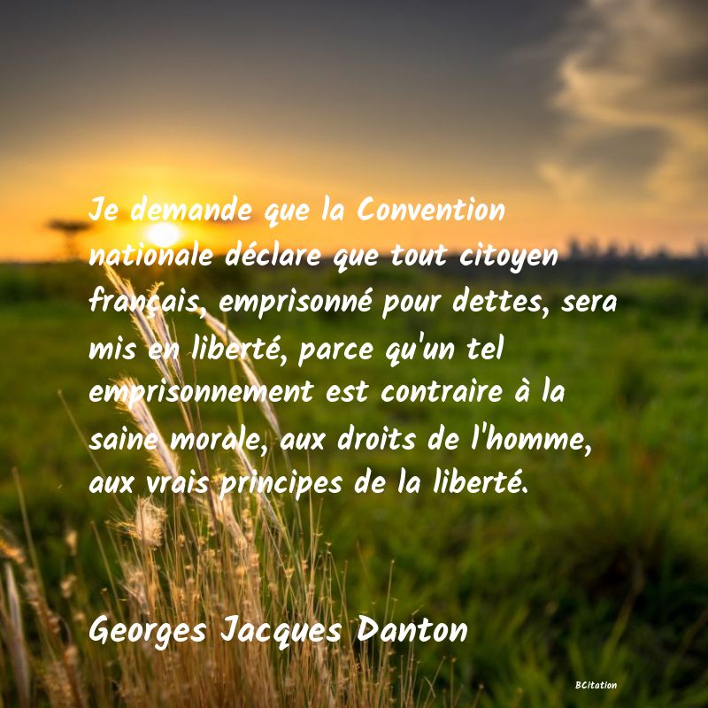 image de citation: Je demande que la Convention nationale déclare que tout citoyen français, emprisonné pour dettes, sera mis en liberté, parce qu'un tel emprisonnement est contraire à la saine morale, aux droits de l'homme, aux vrais principes de la liberté.