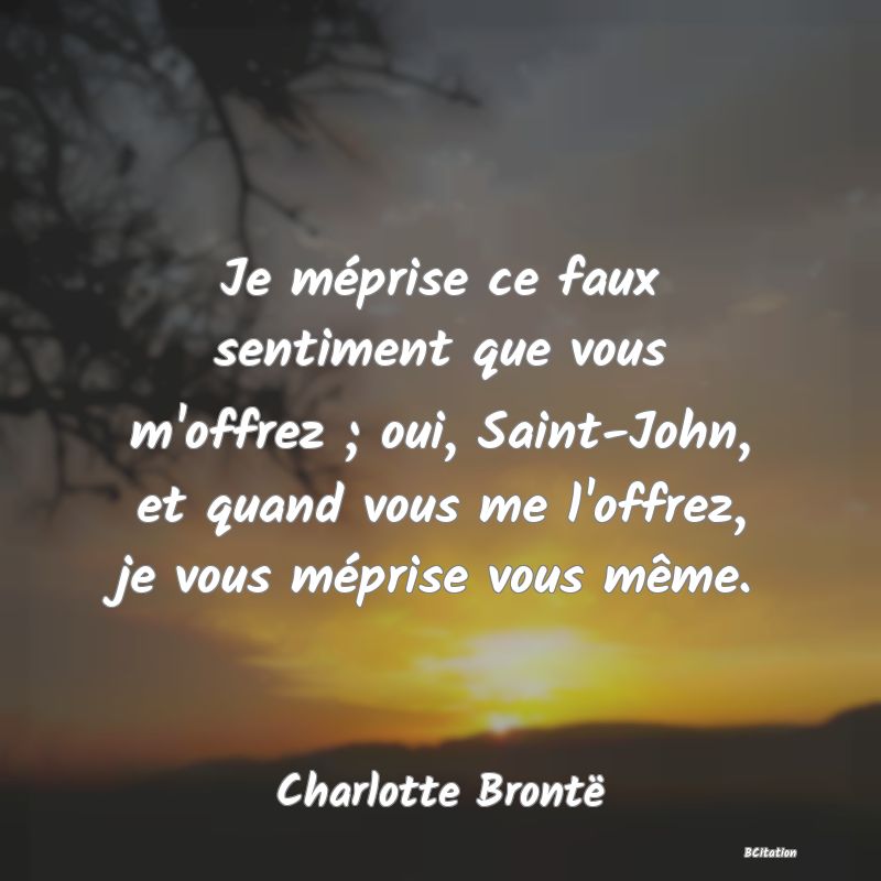 image de citation: Je méprise ce faux sentiment que vous m'offrez ; oui, Saint-John, et quand vous me l'offrez, je vous méprise vous même.