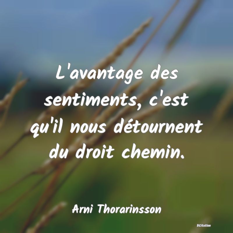 image de citation: L'avantage des sentiments, c'est qu'il nous détournent du droit chemin.