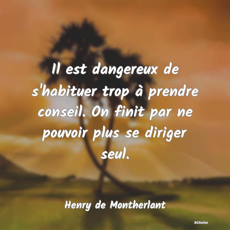 image de citation: Il est dangereux de s'habituer trop à prendre conseil. On finit par ne pouvoir plus se diriger seul.