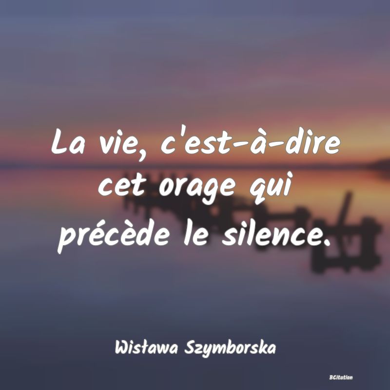 image de citation: La vie, c'est-à-dire cet orage qui précède le silence.