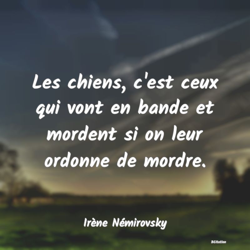 image de citation: Les chiens, c'est ceux qui vont en bande et mordent si on leur ordonne de mordre.