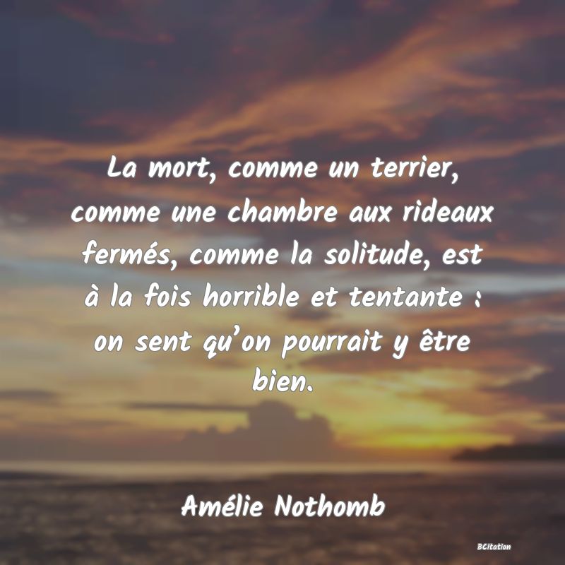 image de citation: La mort, comme un terrier, comme une chambre aux rideaux fermés, comme la solitude, est à la fois horrible et tentante : on sent qu’on pourrait y être bien.