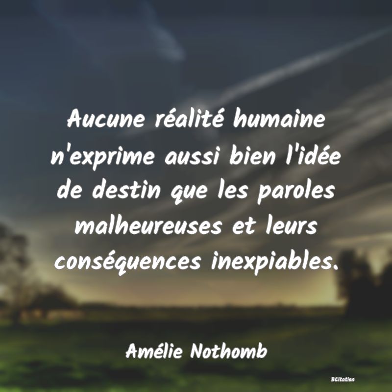 image de citation: Aucune réalité humaine n'exprime aussi bien l'idée de destin que les paroles malheureuses et leurs conséquences inexpiables.