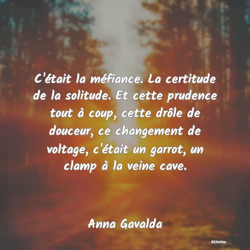 image de citation: C'était la méfiance. La certitude de la solitude. Et cette prudence tout à coup, cette drôle de douceur, ce changement de voltage, c'était un garrot, un clamp à la veine cave.