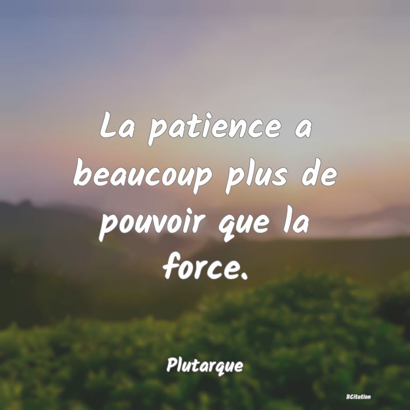 image de citation: La patience a beaucoup plus de pouvoir que la force.