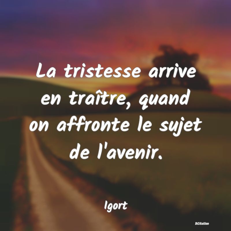 image de citation: La tristesse arrive en traître, quand on affronte le sujet de l'avenir.