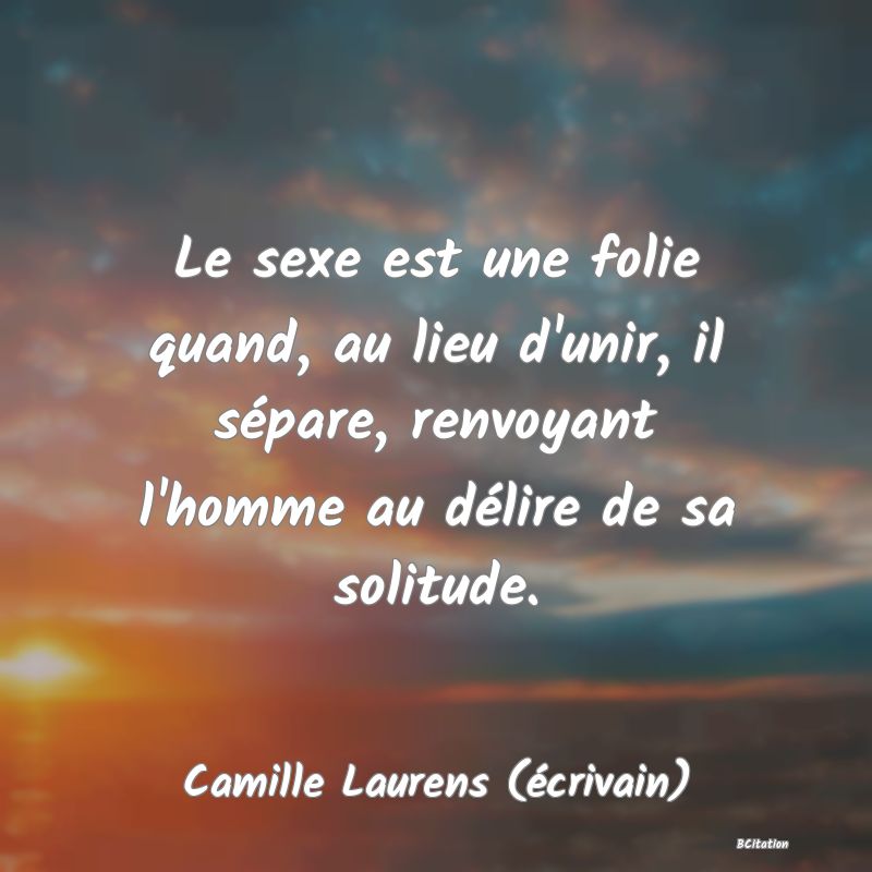 image de citation: Le sexe est une folie quand, au lieu d'unir, il sépare, renvoyant l'homme au délire de sa solitude.