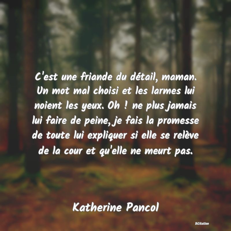 image de citation: C'est une friande du détail, maman. Un mot mal choisi et les larmes lui noient les yeux. Oh ! ne plus jamais lui faire de peine, je fais la promesse de toute lui expliquer si elle se relève de la cour et qu'elle ne meurt pas.