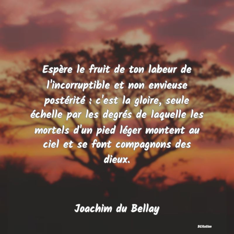 image de citation: Espère le fruit de ton labeur de l'incorruptible et non envieuse postérité : c'est la gloire, seule échelle par les degrés de laquelle les mortels d'un pied léger montent au ciel et se font compagnons des dieux.