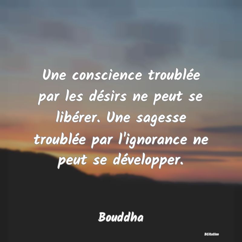 image de citation: Une conscience troublée par les désirs ne peut se libérer. Une sagesse troublée par l'ignorance ne peut se développer.