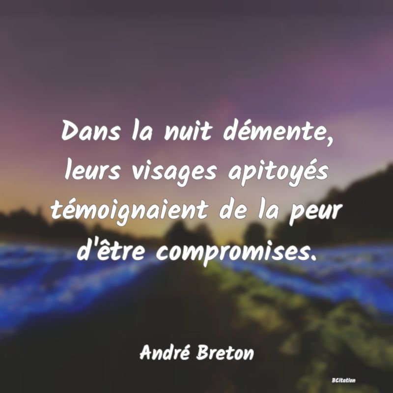 image de citation: Dans la nuit démente, leurs visages apitoyés témoignaient de la peur d'être compromises.