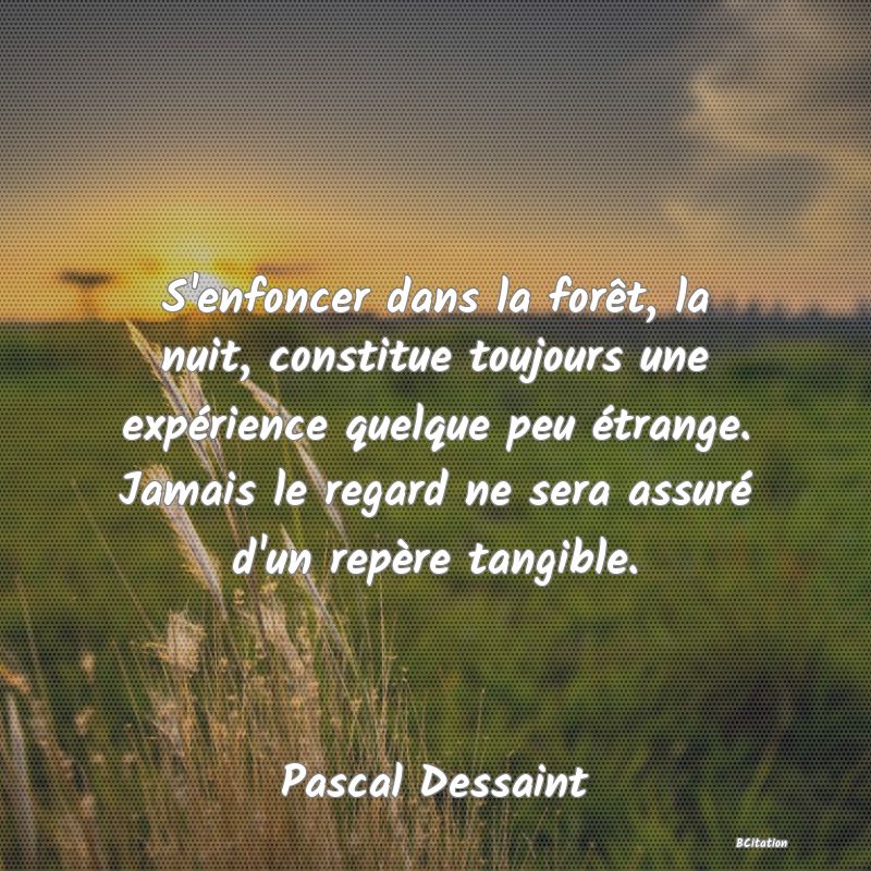 image de citation: S'enfoncer dans la forêt, la nuit, constitue toujours une expérience quelque peu étrange. Jamais le regard ne sera assuré d'un repère tangible.