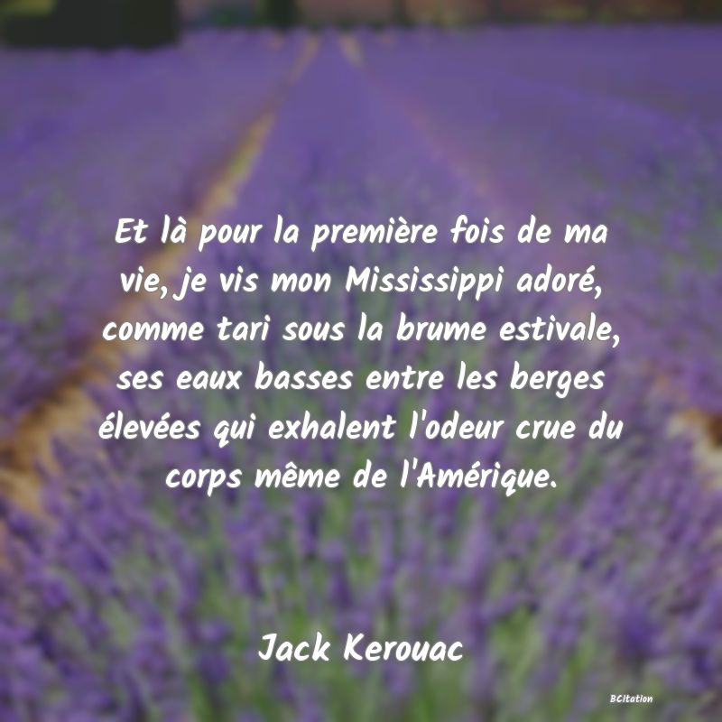 image de citation: Et là pour la première fois de ma vie, je vis mon Mississippi adoré, comme tari sous la brume estivale, ses eaux basses entre les berges élevées qui exhalent l'odeur crue du corps même de l'Amérique.