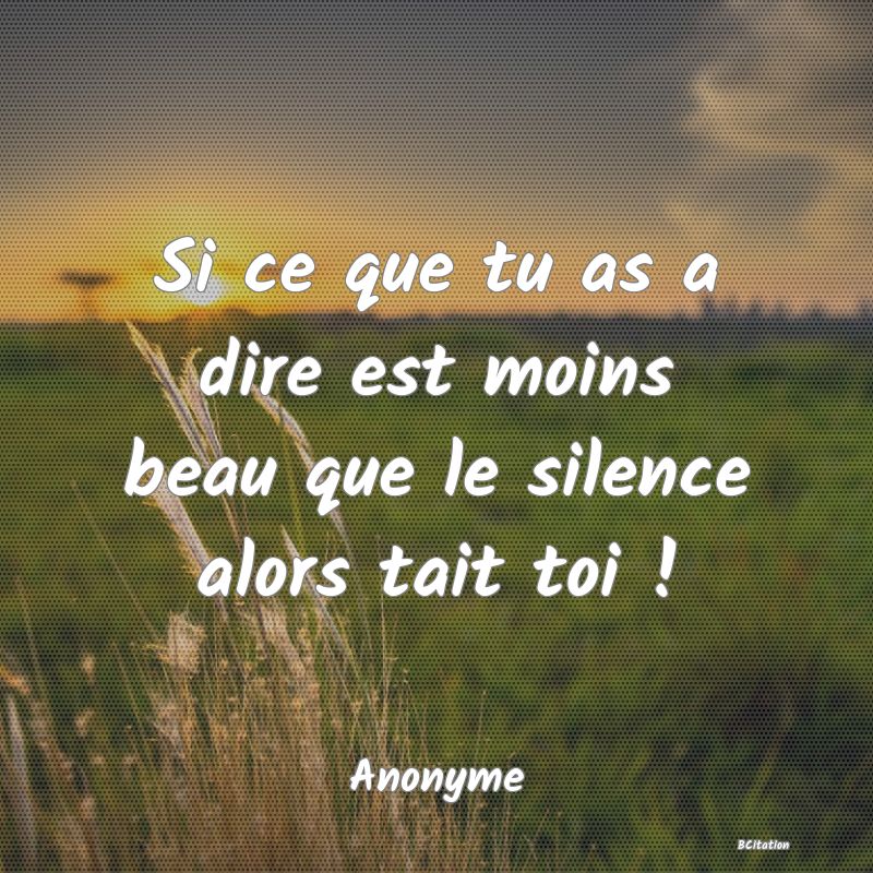 image de citation: Si ce que tu as a dire est moins beau que le silence alors tait toi !