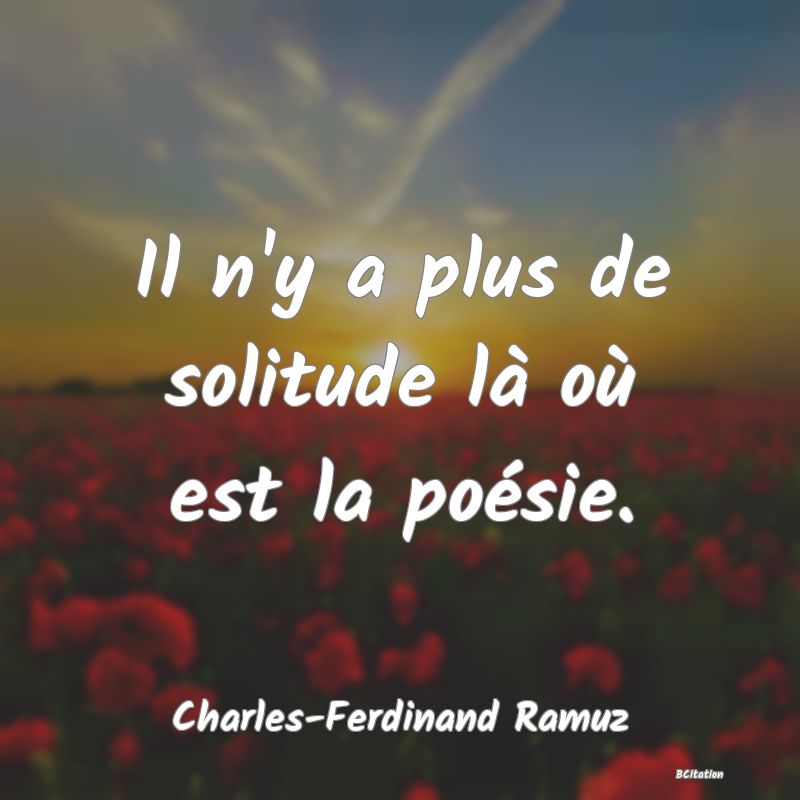 image de citation: Il n'y a plus de solitude là où est la poésie.