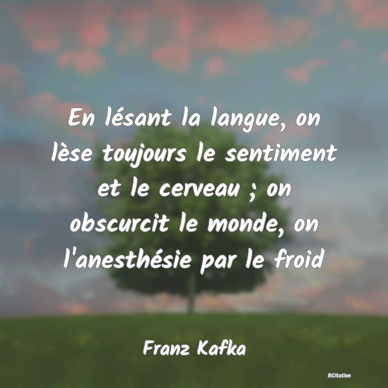 image de citation: En lésant la langue, on lèse toujours le sentiment et le cerveau ; on obscurcit le monde, on l'anesthésie par le froid