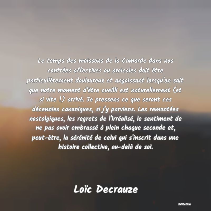 image de citation: Le temps des moissons de la Camarde dans nos contrées affectives ou amicales doit être particulièrement douloureux et angoissant lorsqu'on sait que notre moment d'être cueilli est naturellement (et si vite !) arrivé. Je pressens ce que seront ces décennies canoniques, si j'y parviens. Les remontées nostalgiques, les regrets de l'irréalisé, le sentiment de ne pas avoir embrassé à plein chaque seconde et, peut-être, la sérénité de celui qui s'inscrit dans une histoire collective, au-delà de soi.