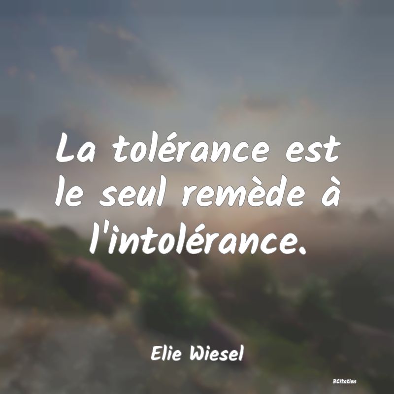 image de citation: La tolérance est le seul remède à l'intolérance.