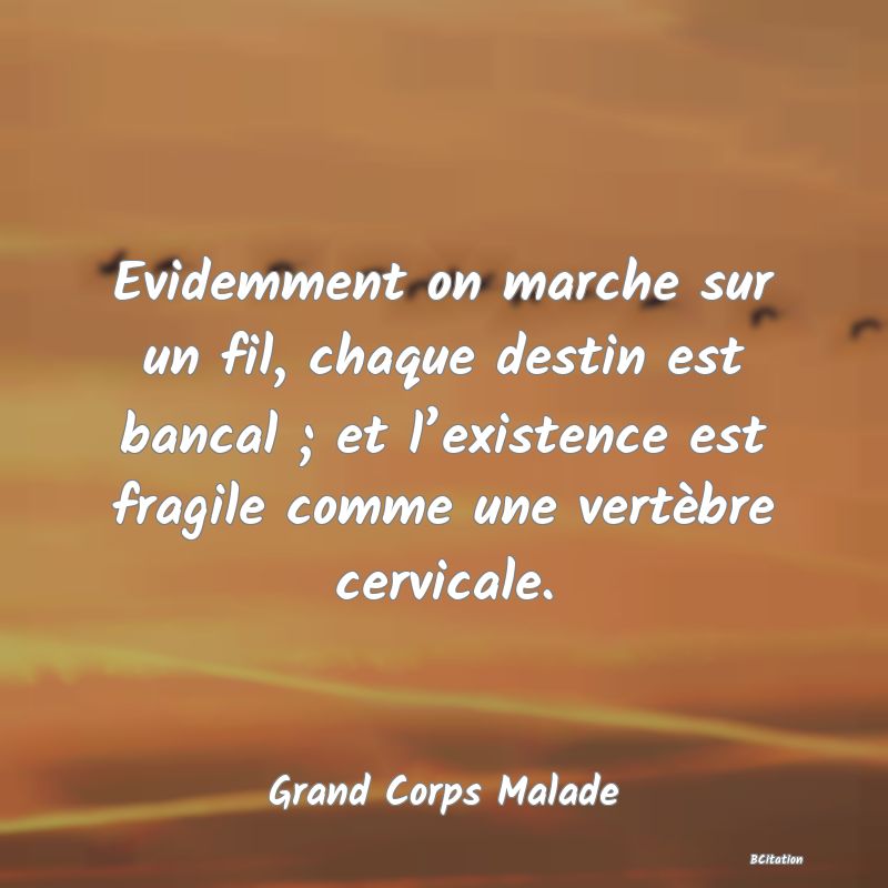 image de citation: Evidemment on marche sur un fil, chaque destin est bancal ; et l’existence est fragile comme une vertèbre cervicale.