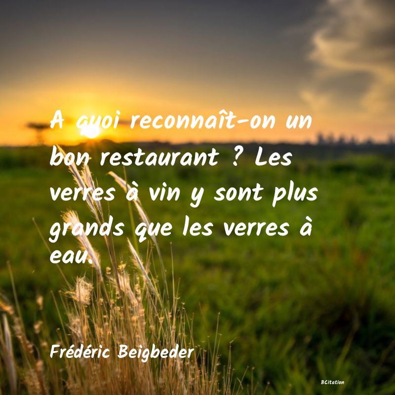 image de citation: A quoi reconnaît-on un bon restaurant ? Les verres à vin y sont plus grands que les verres à eau.