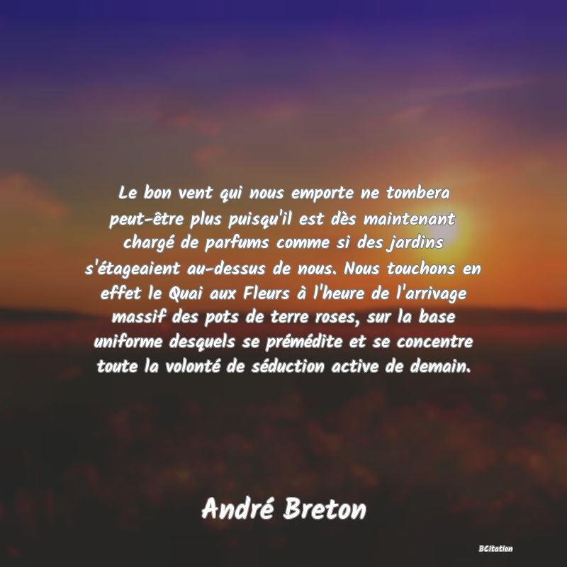 image de citation: Le bon vent qui nous emporte ne tombera peut-être plus puisqu'il est dès maintenant chargé de parfums comme si des jardins s'étageaient au-dessus de nous. Nous touchons en effet le Quai aux Fleurs à l'heure de l'arrivage massif des pots de terre roses, sur la base uniforme desquels se prémédite et se concentre toute la volonté de séduction active de demain.