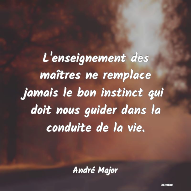 image de citation: L'enseignement des maîtres ne remplace jamais le bon instinct qui doit nous guider dans la conduite de la vie.