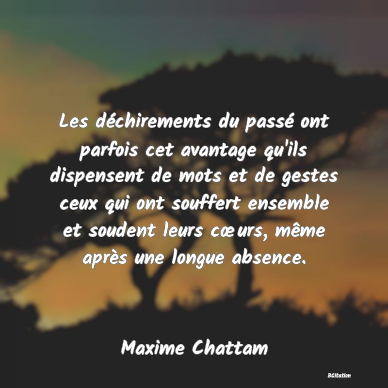 image de citation: Les déchirements du passé ont parfois cet avantage qu'ils dispensent de mots et de gestes ceux qui ont souffert ensemble et soudent leurs cœurs, même après une longue absence.