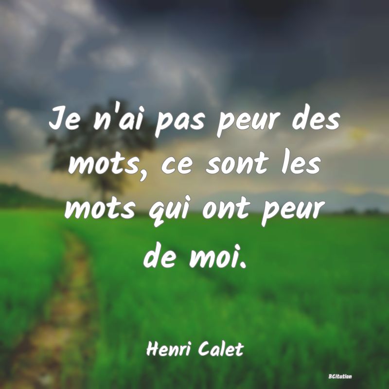 image de citation: Je n'ai pas peur des mots, ce sont les mots qui ont peur de moi.