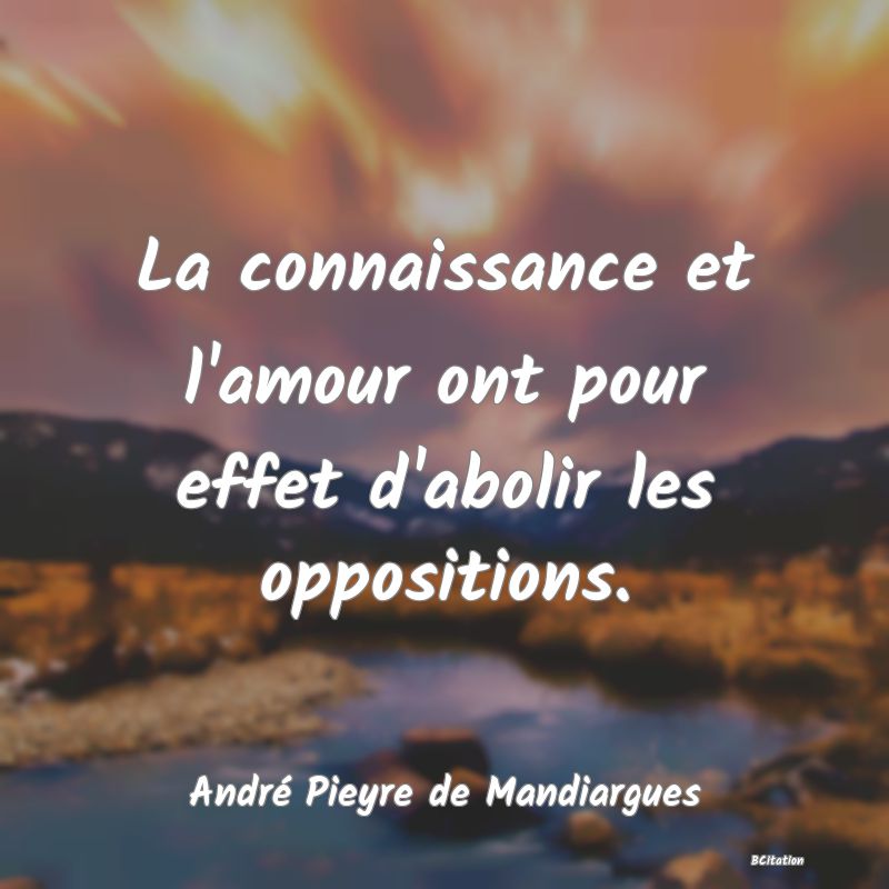 image de citation: La connaissance et l'amour ont pour effet d'abolir les oppositions.