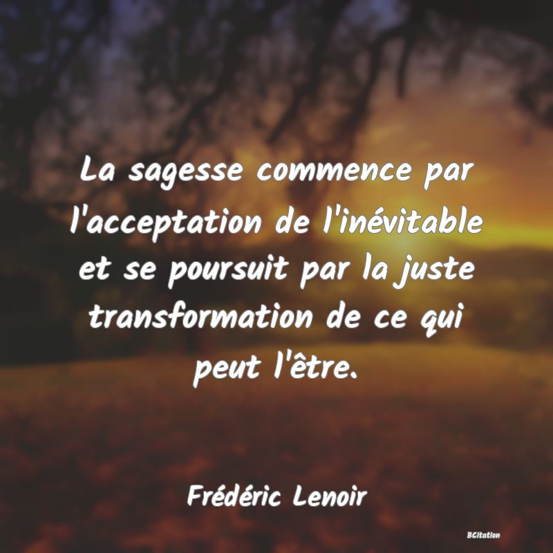 image de citation: La sagesse commence par l'acceptation de l'inévitable et se poursuit par la juste transformation de ce qui peut l'être.