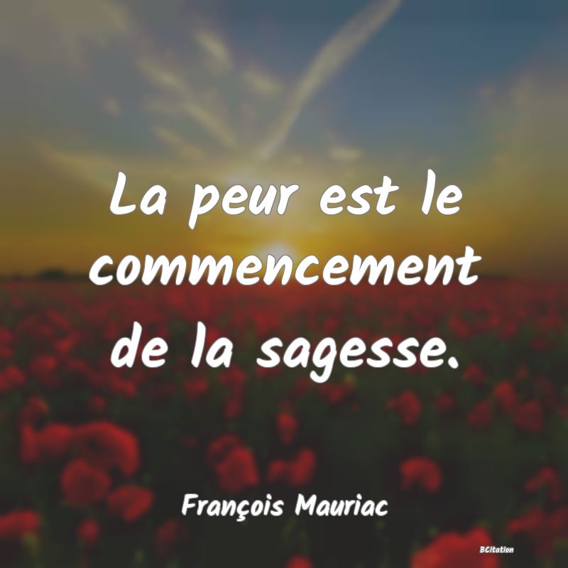 Belle Citation - La peur est le commencement de la sagesse. - François Mauriac