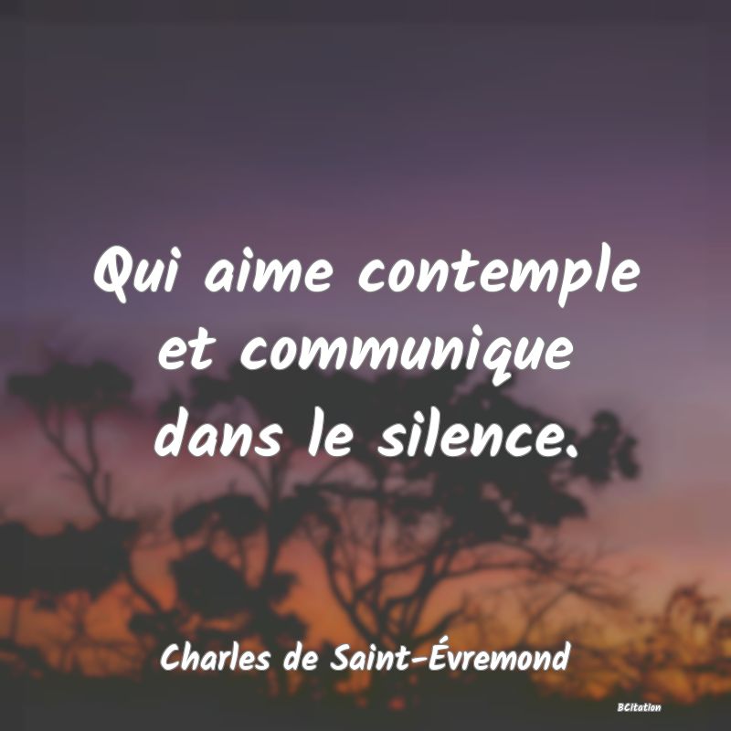 image de citation: Qui aime contemple et communique dans le silence.