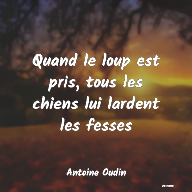 image de citation: Quand le loup est pris, tous les chiens lui lardent les fesses